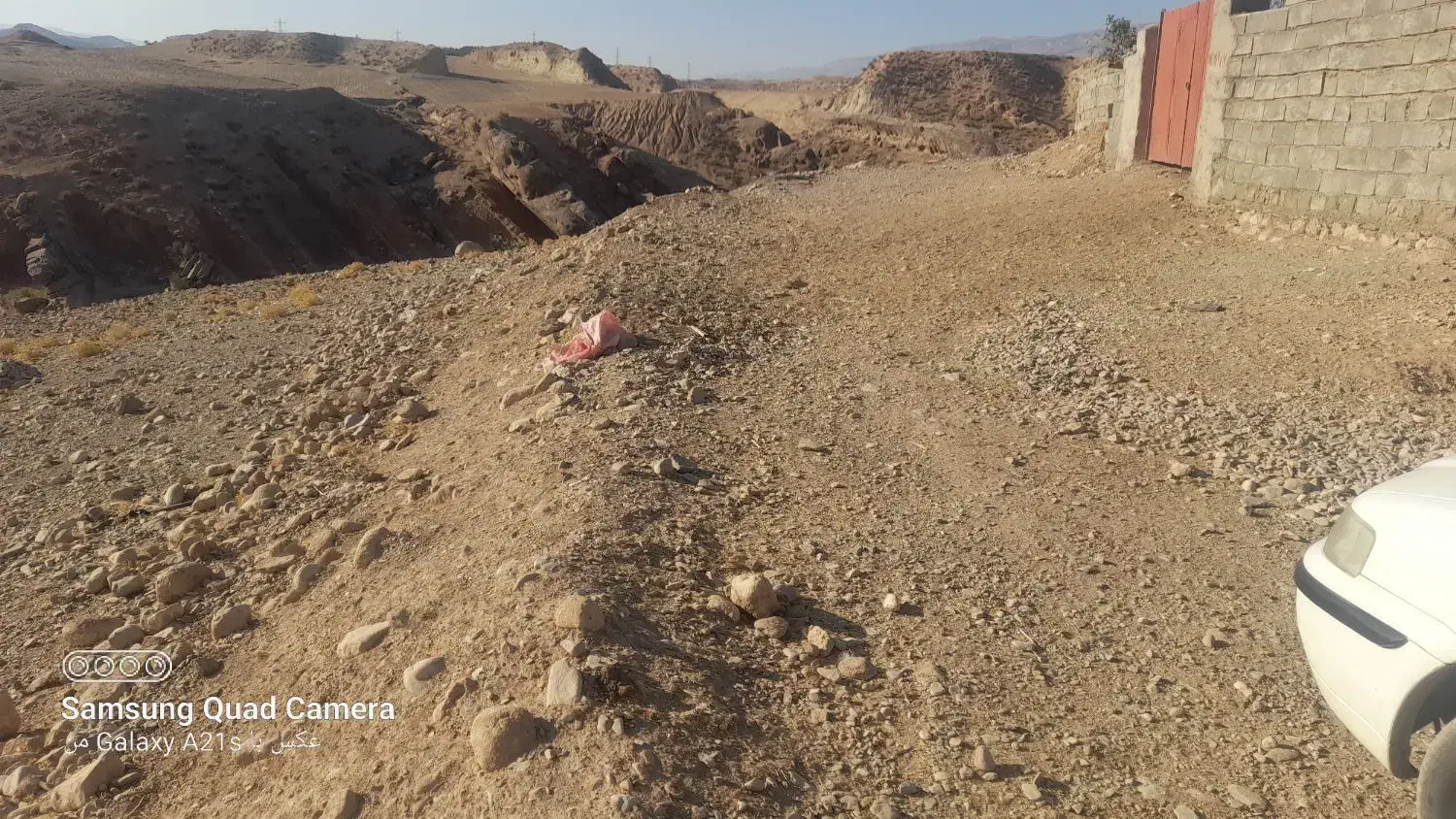 زمین برای استفاده دامداری و یا درختکاری|فروش زمین و ملک کلنگی|آبدانان, |دیوار