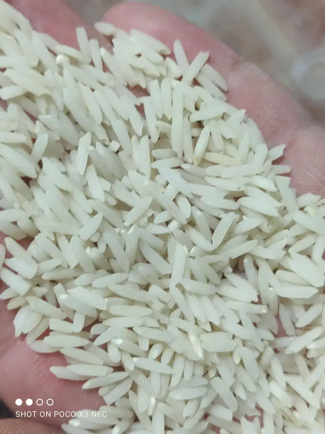 برنج هاشمی سورتینگ شده الک یک|خوردنی و آشامیدنی|رضوانشهر, |دیوار