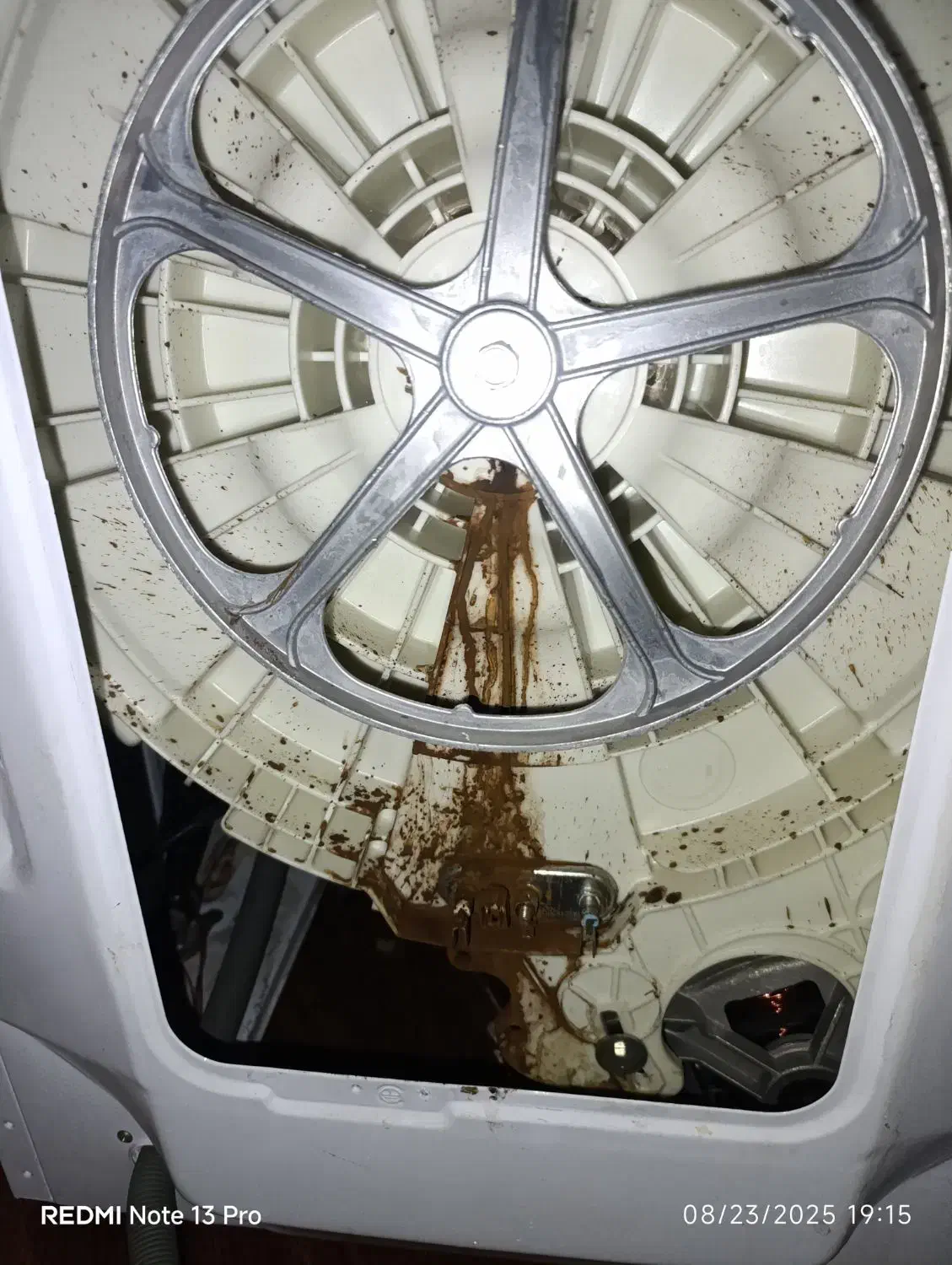 تعمیرات تخصصی انواع لباسشویی و یخچال فریزر|خدمات پیشه و مهارت|سمنان, |دیوار