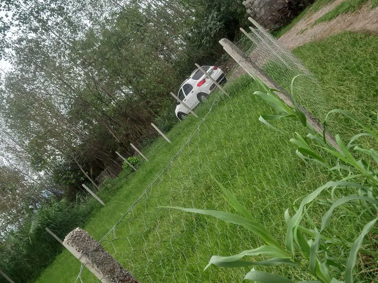 زمین ۴۵۵ متری طلا در قلب سنگر|فروش زمین و ملک کلنگی|رشت, آب و برق|دیوار