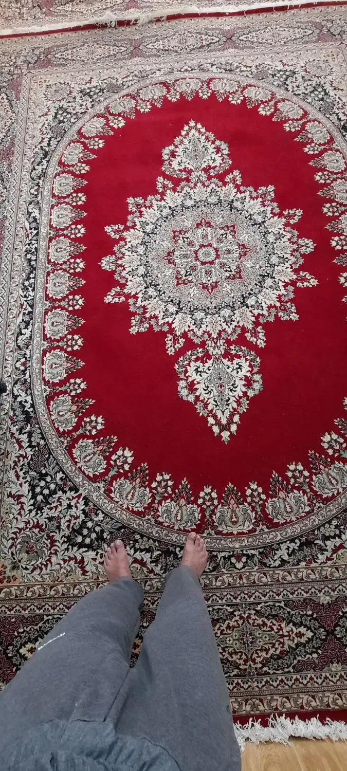 فروش فروش ماشینی ۱۲ متری لاکی سالم و در حد نو|فرش|پاسارگاد, |دیوار