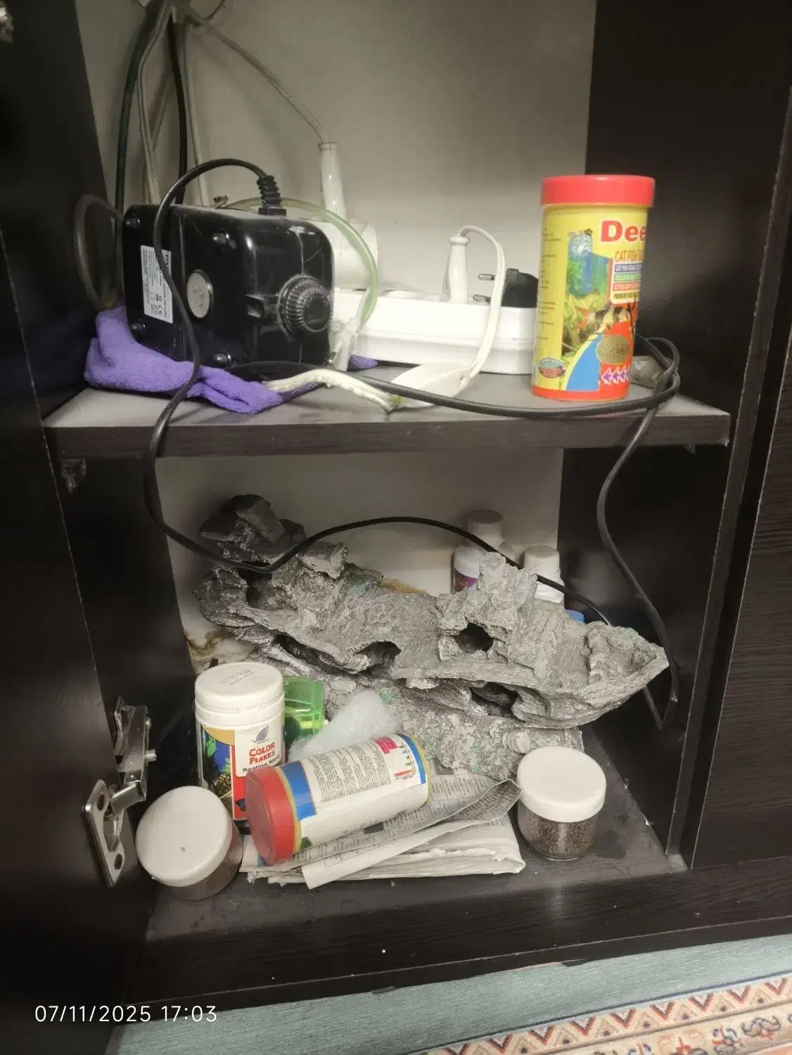 آکواریوم با لوازم وغذای ماهی|ماهی|تهران, افسریه شمالی|دیوار