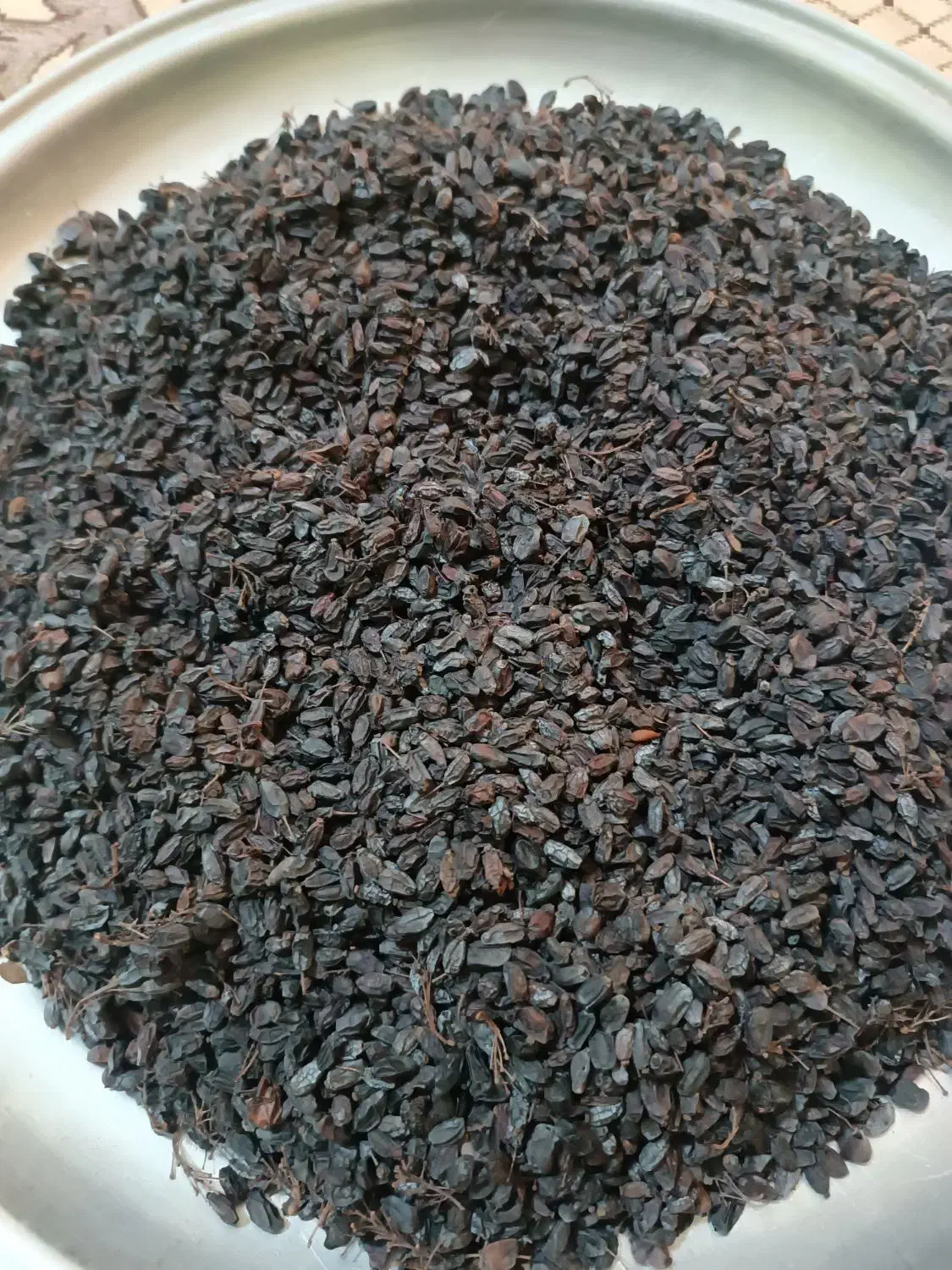 زرشک خشک کوهستان|خوردنی و آشامیدنی|ورامین, ورامین|دیوار