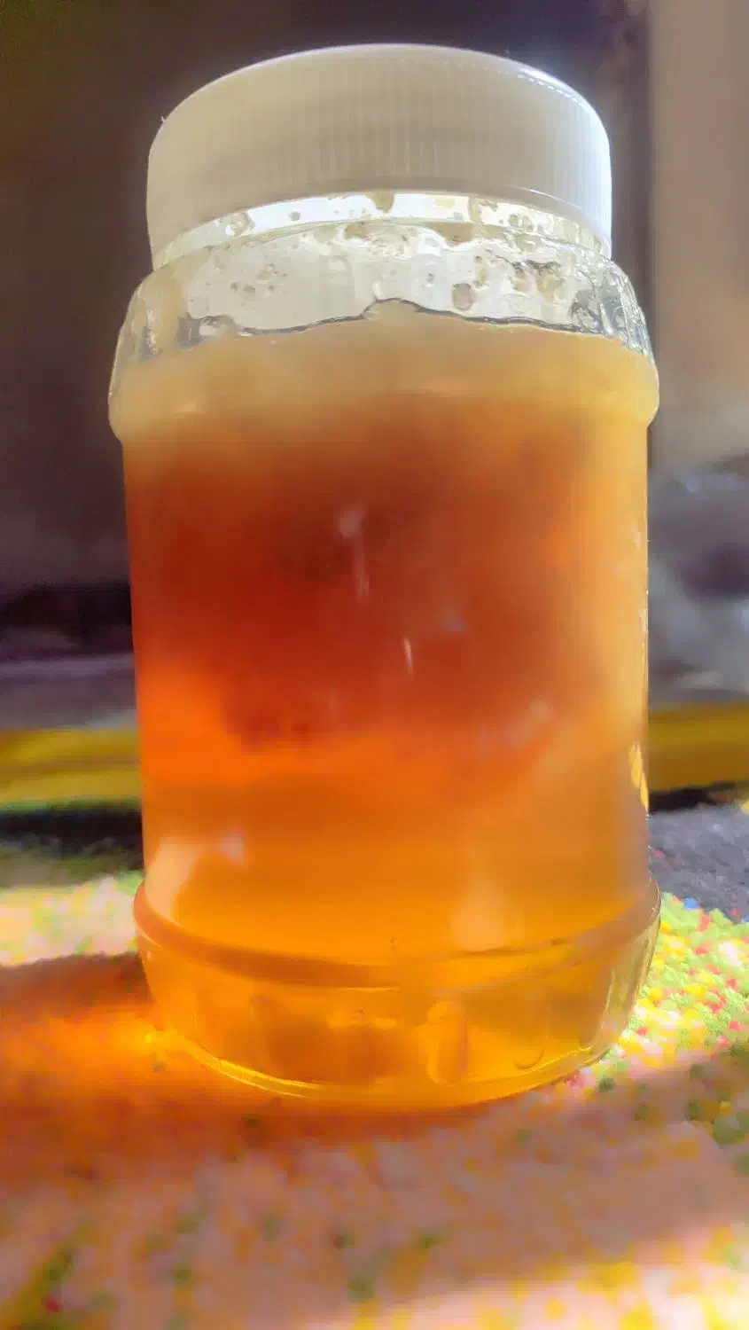 فروش عسل طبیعی و کوهی صدر درصد|خوردنی و آشامیدنی|یاسوج, |دیوار