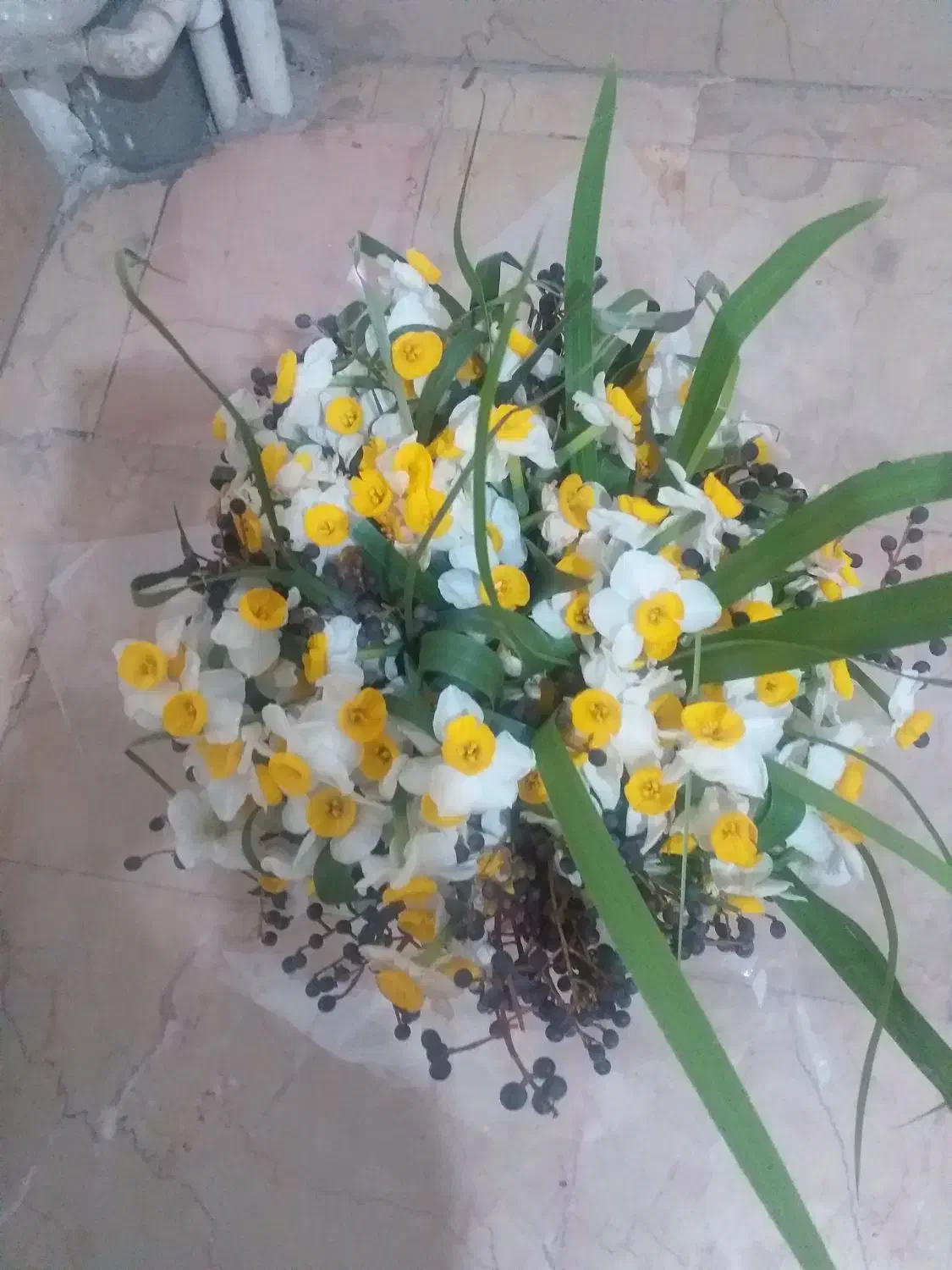 گل طبیعی|گل و گیاه طبیعی|تهران, استقلال|دیوار