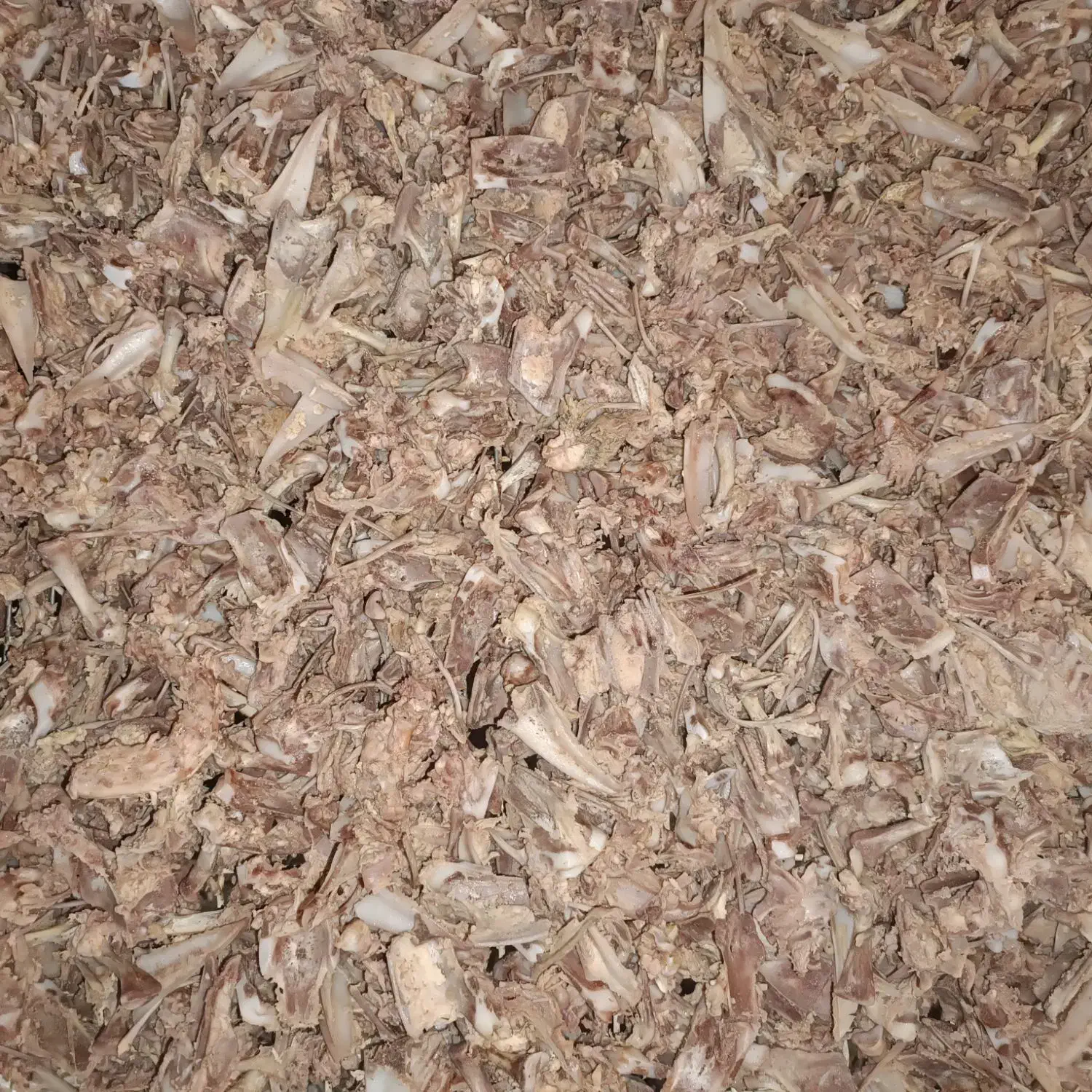 غذای سگ(پخته و خام)|لوازم جانبی حیوانات|پاکدشت, پاکدشت (مامازند)|دیوار