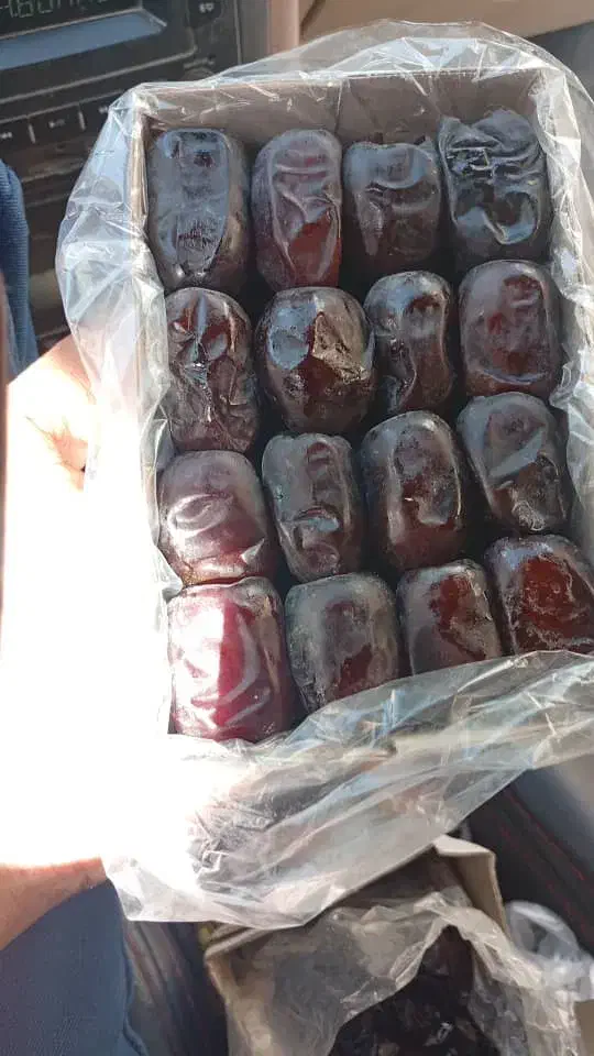 خرما مضافتی بم موجود هست دارم میام مشهم قیمت م|خوردنی و آشامیدنی|تربتحیدریه, طالقانی|دیوار