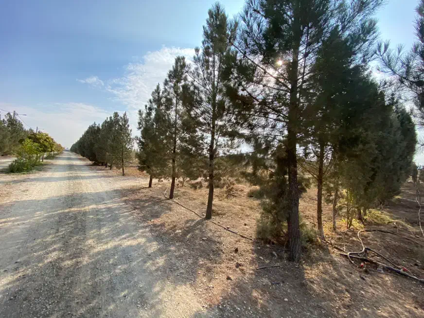 ۱،۴ هکتار زمین سند دار بر جاده سهیلیه|فروش زمین و ملک کلنگی|کرج, شهرک الهیه|دیوار