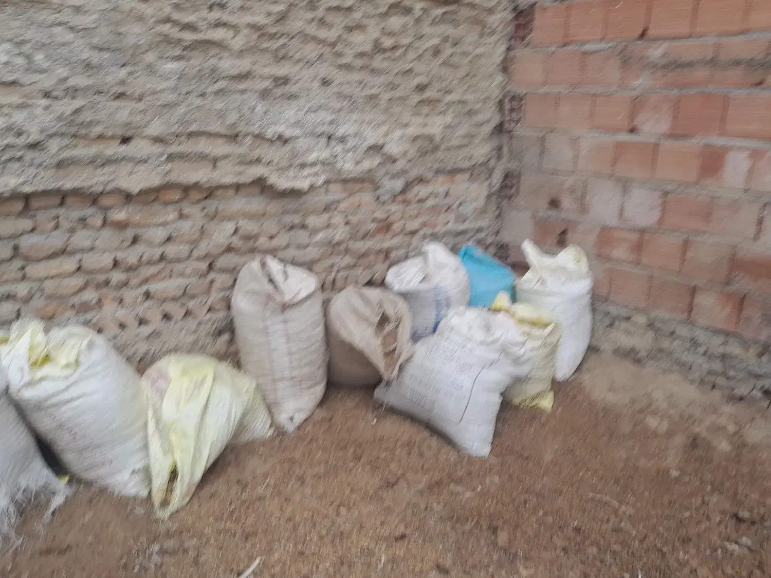 کود گوسفندی|خدمات باغبانی و درختکاری|گرگان, |دیوار