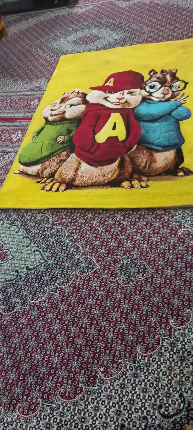 گلیم|گلیم، جاجیم، گبه|بندرعباس, |دیوار