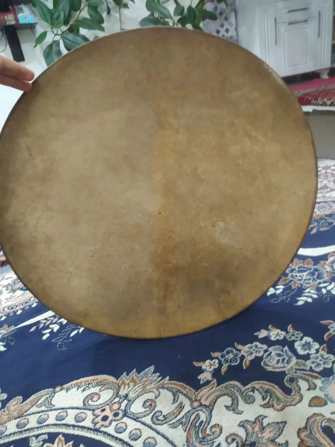 دف درویشی خوش صدا|سازهای سنتی|بوکان, |دیوار