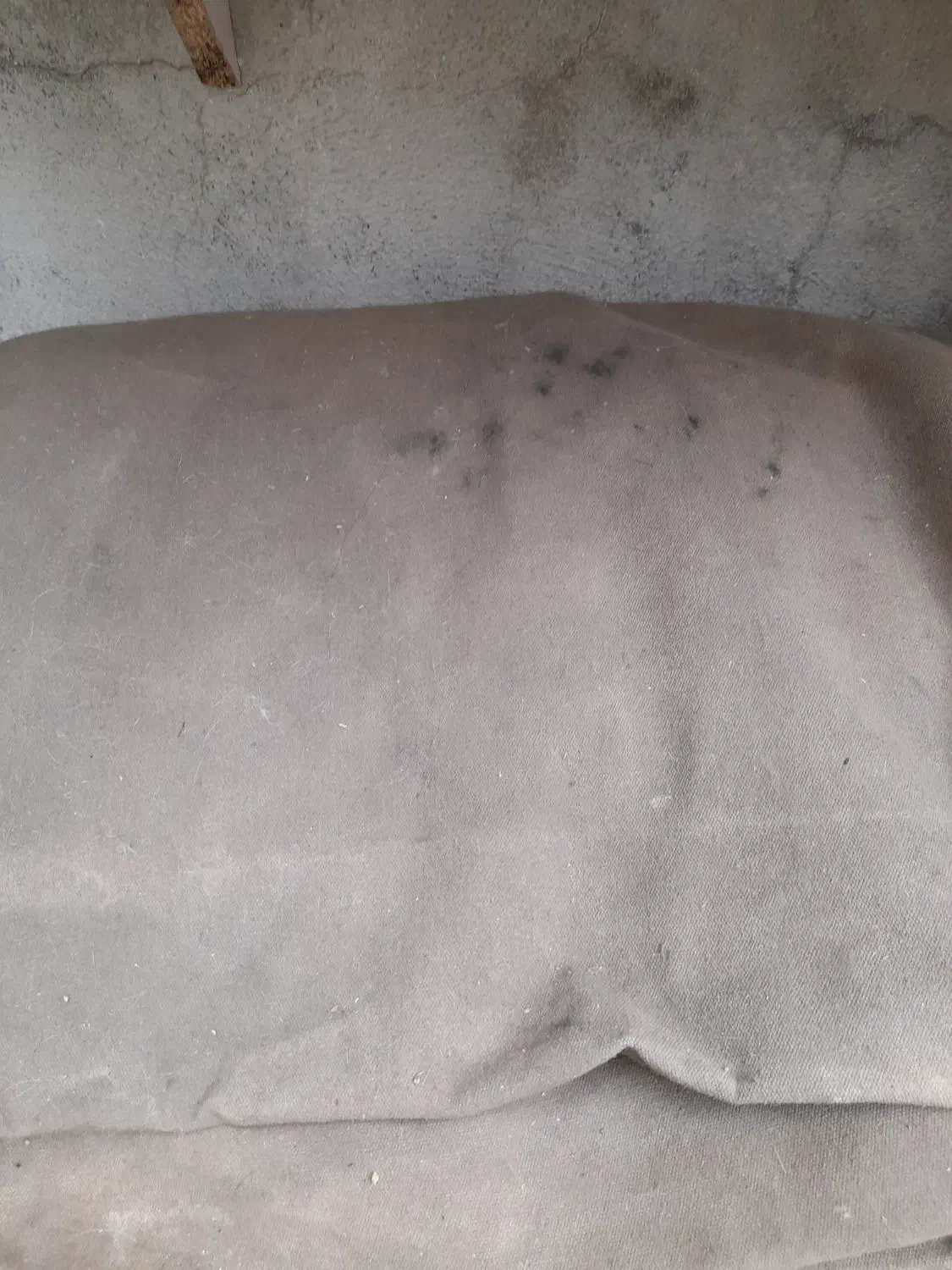 چادر پیکان بار|کوهنوردی و کمپینگ|مریوان, |دیوار