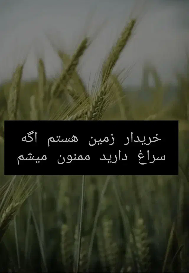 زمین|فروش زمین و ملک کلنگی|هرسین, |دیوار