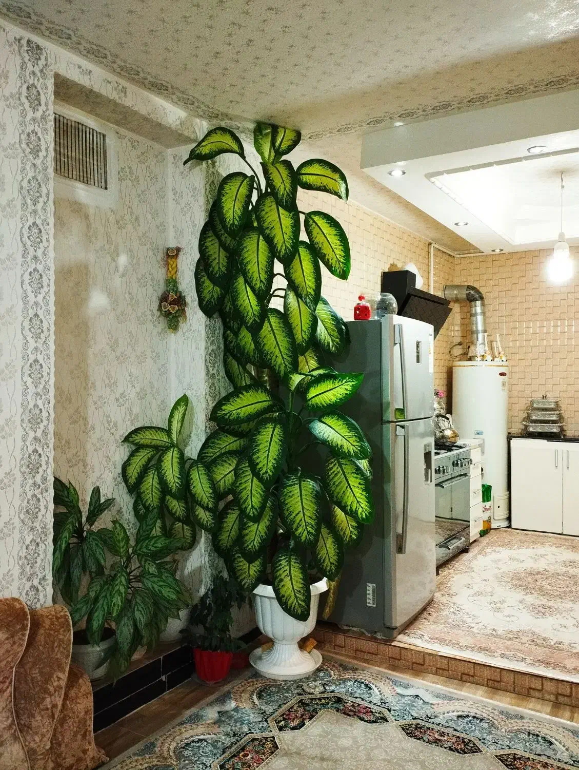 گل دیفن|گل و گیاه طبیعی|سنندج, |دیوار