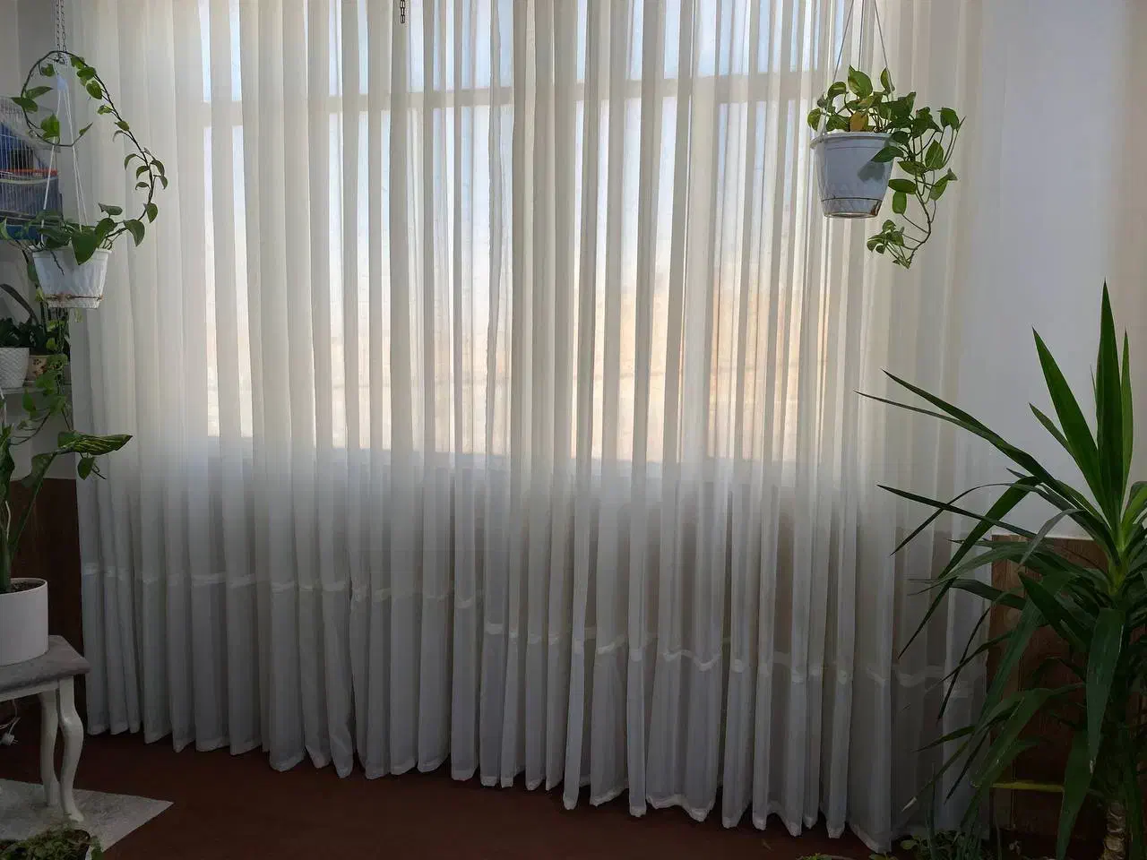 پرده|پرده، رانر، رومیزی|تربت جام, شهرک معلم|دیوار