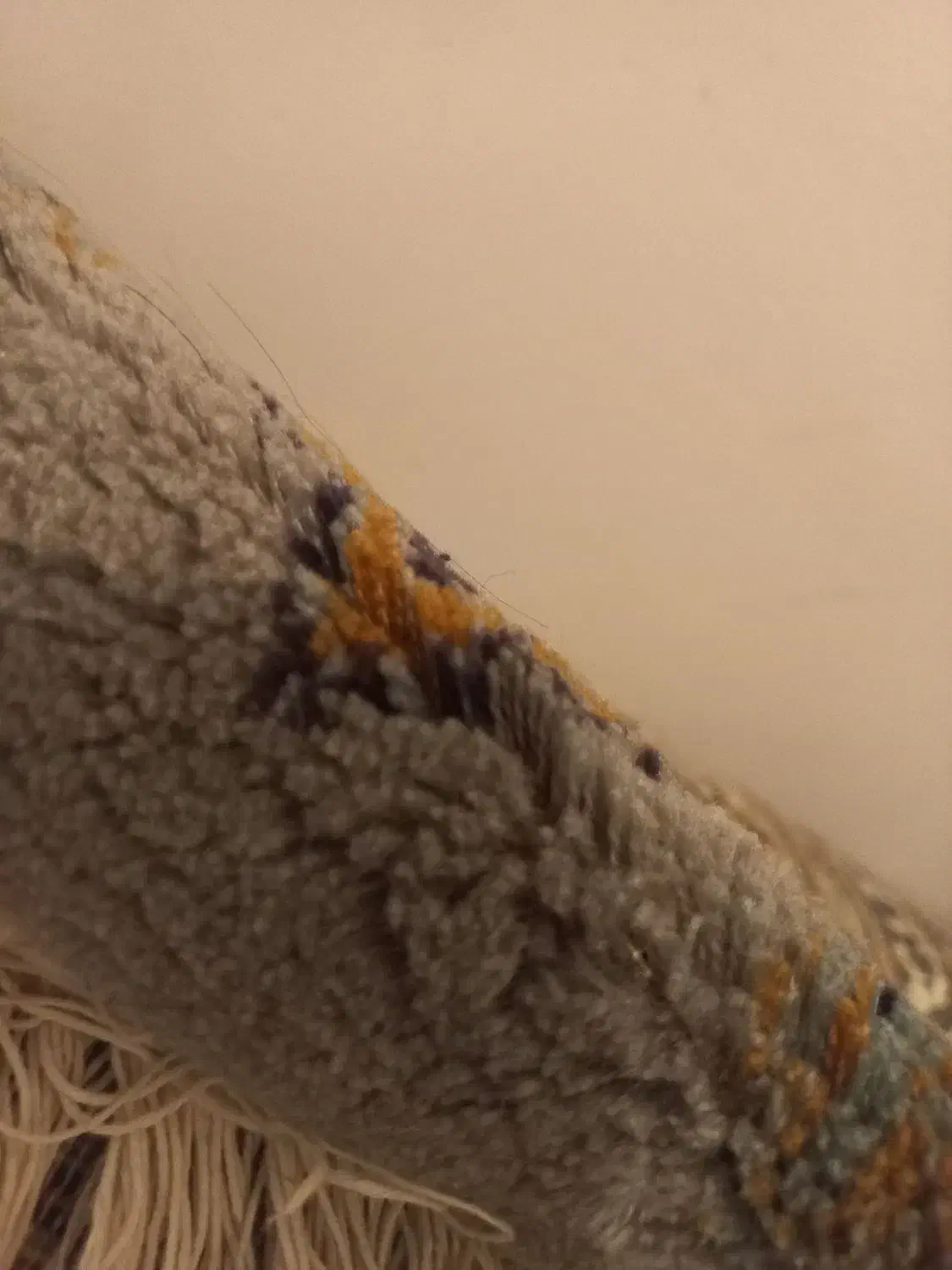 فرش ۱۲متری|فرش|تبریز, |دیوار