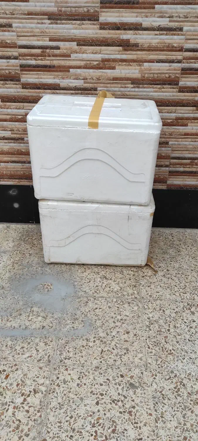 باکس یخدان نو|ماهی|شادگان, |دیوار