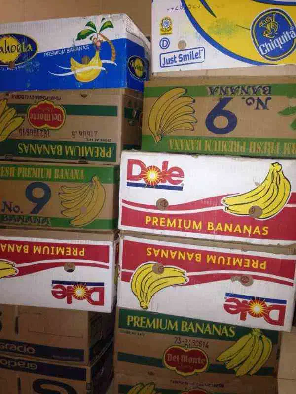 کارتن موز سالم|فعالیت داوطلبانه|ملایر, |دیوار