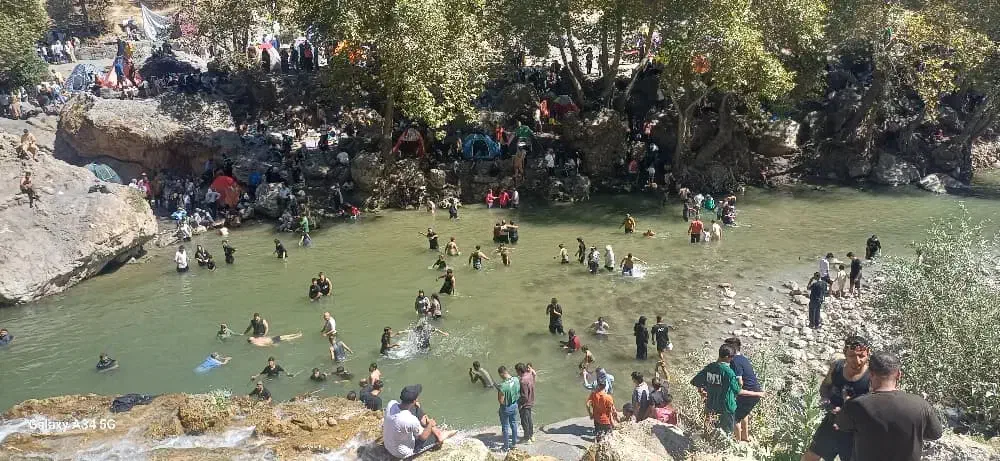 گردش گری|تور و چارتر|بوشهر, |دیوار