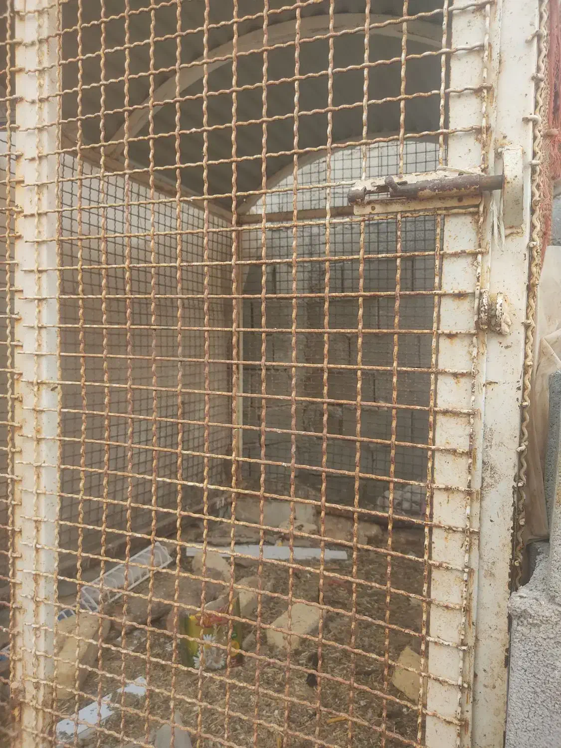 فروش قفس آهنی|لوازم جانبی حیوانات|وردشت, |دیوار