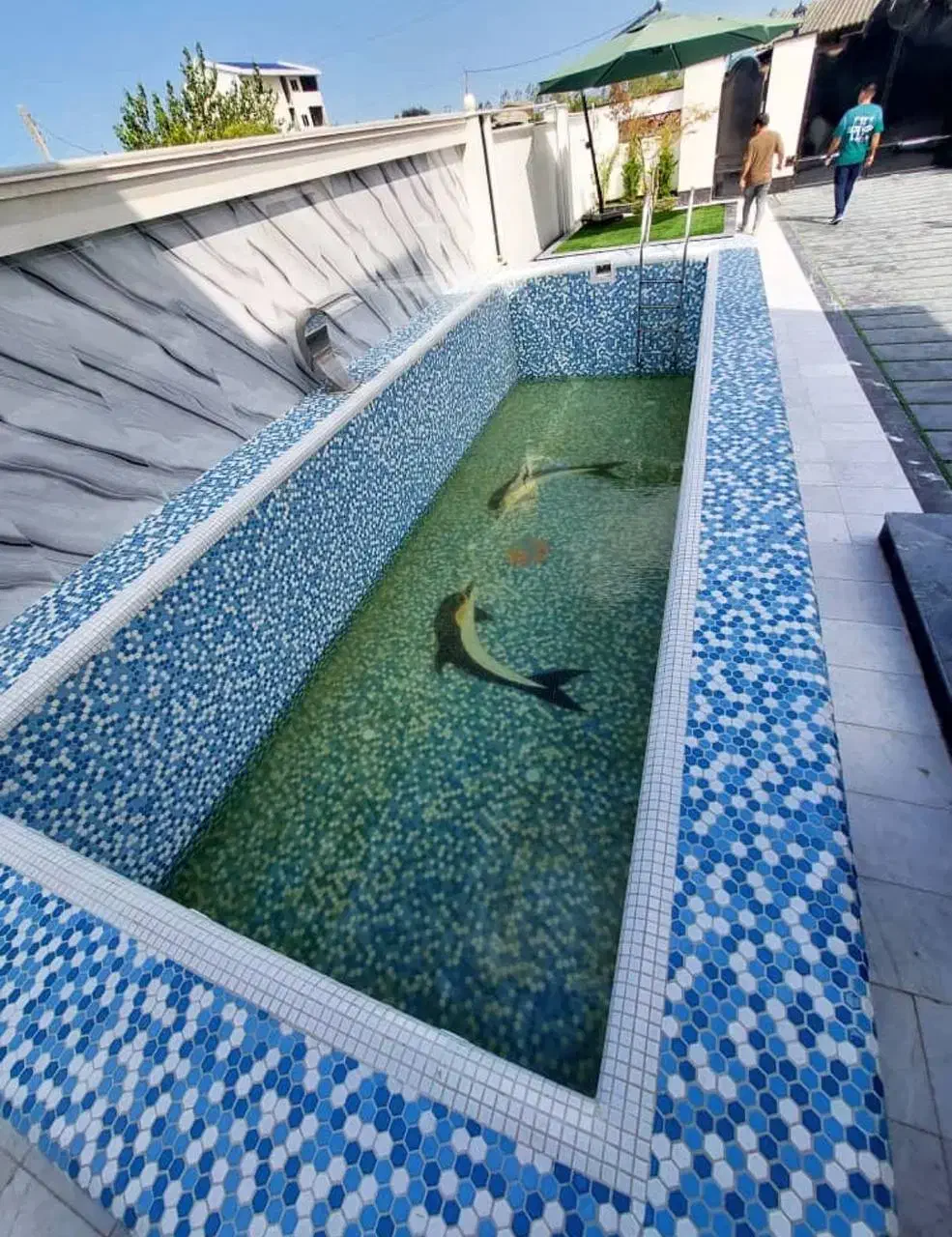 * کاخ سفید شمالو پیدا کردم *استخر*ویوجنگل*سنددار|فروش خانه و ویلا|چمستان, |دیوار