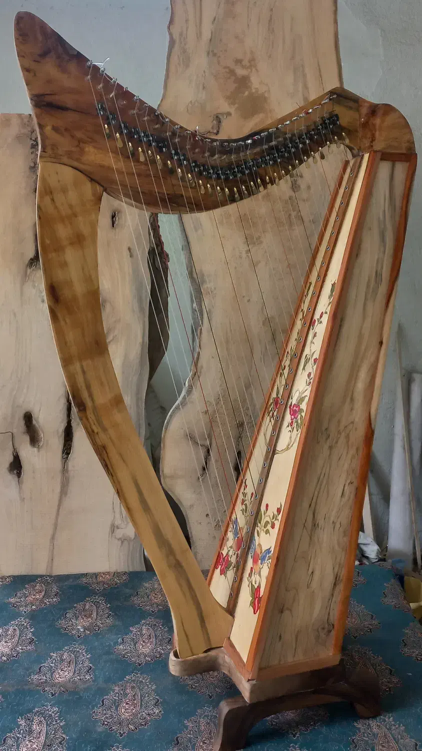 ساز چنگ(هارپ) سلتیک برند نقابی|گیتار، بیس، امپلیفایر|گرگان, |دیوار