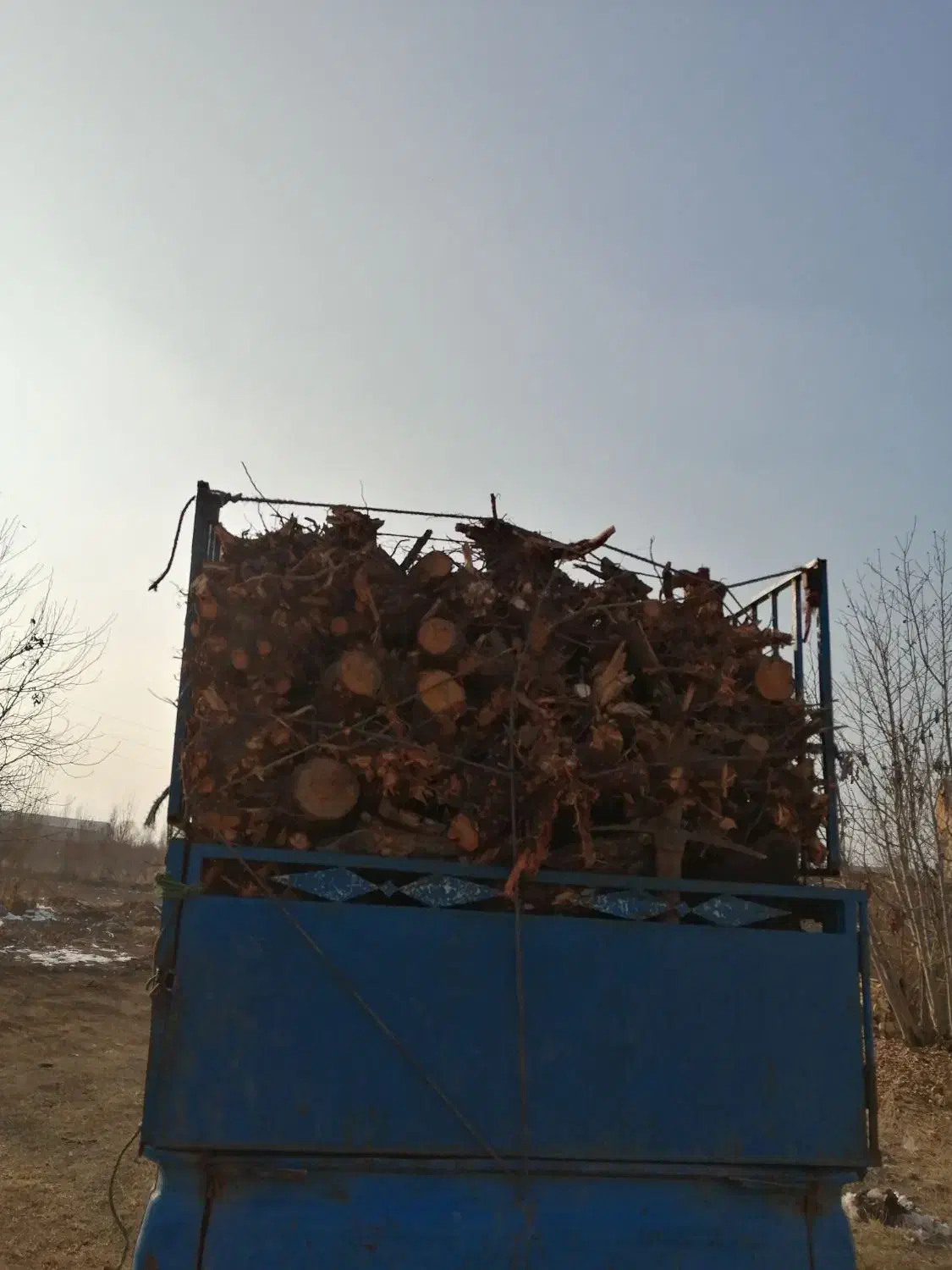 خرید انواع چوب|خدمات باغبانی و درختکاری|ارومیه, |دیوار