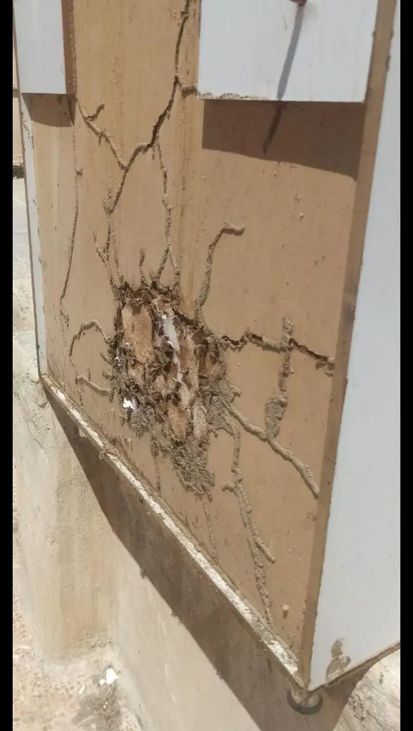 شرکت سم پاشی و موریانه زدایی(آسایش) با مجوز رسمی|خدمات نظافت|کوهدشت, |دیوار