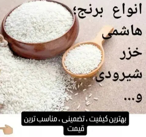 برنج های هاشمی ،فجر ،شبرودی|خوردنی و آشامیدنی|تهران, هروی|دیوار