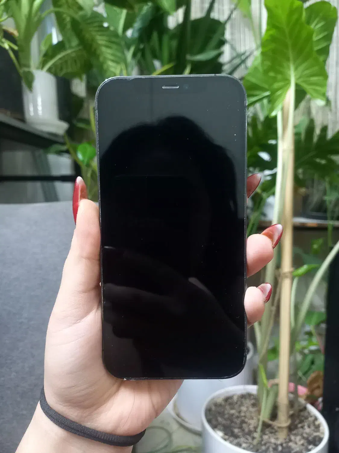 iphone 12poro|موبایل|مشهد, هنرستان|دیوار