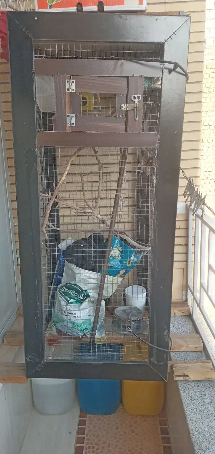 قفس بزرگ معاوضه|لوازم جانبی حیوانات|رفسنجان, |دیوار