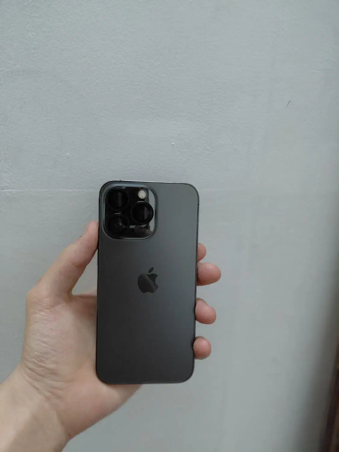 iphone 13 pro|موبایل|مشهد, هنرور|دیوار