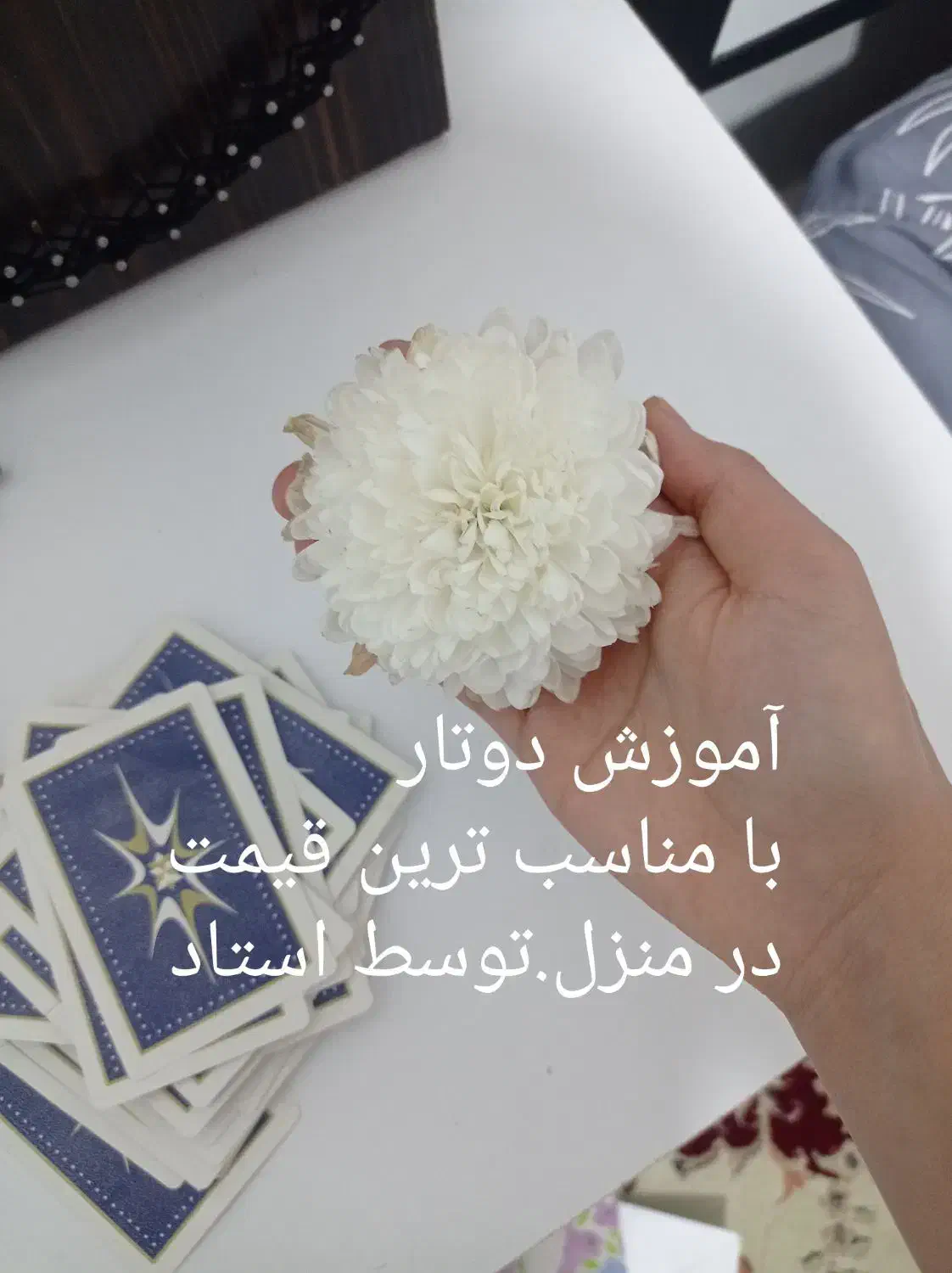 گل زیبا تصویر نگاه کنید|گل و گیاه طبیعی|اسفراین, |دیوار