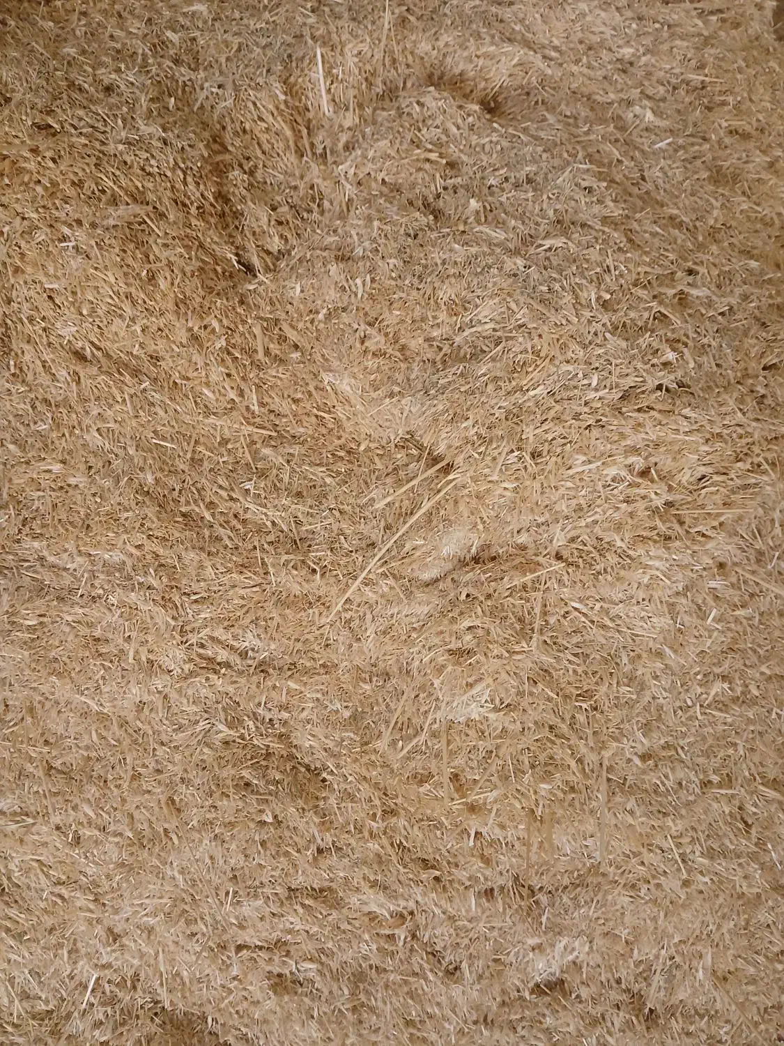 کاه|لوازم جانبی حیوانات|آبکوه, |دیوار