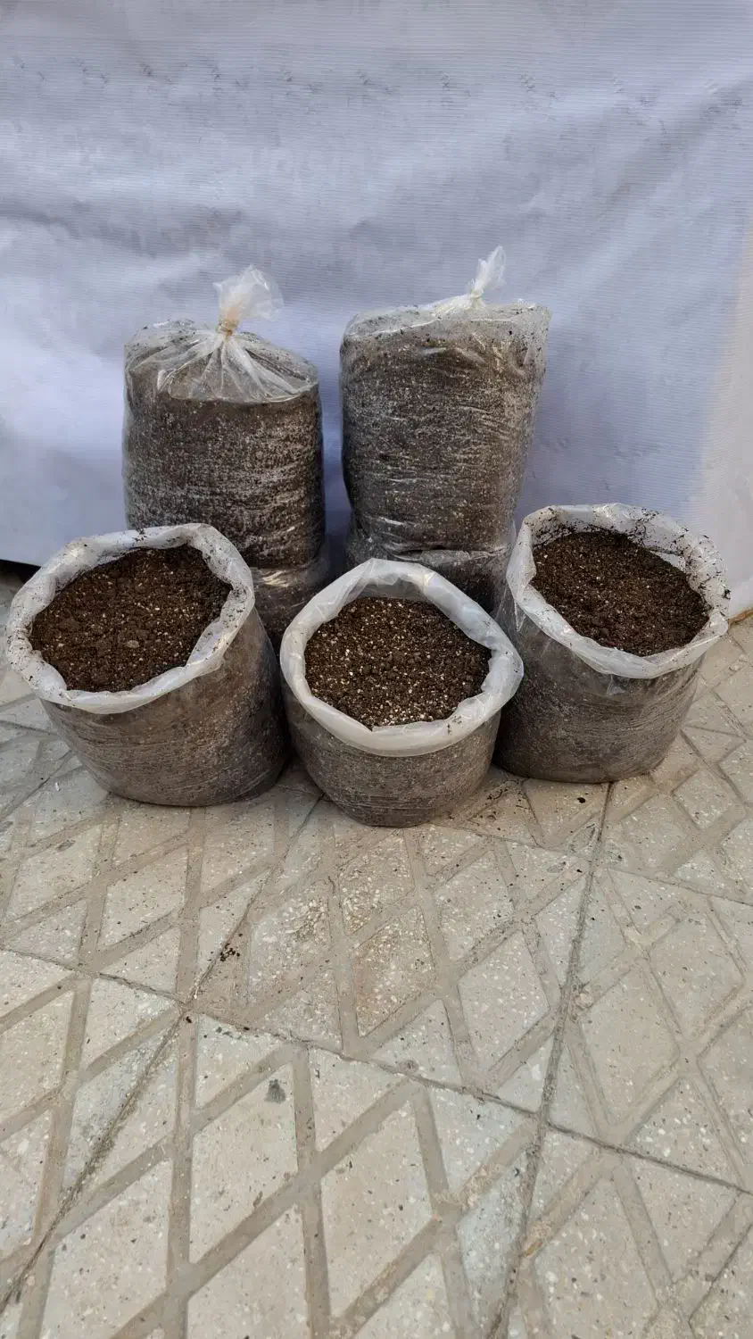 کوددامی فرآوری شده (کمپوست)|گل و گیاه طبیعی|بندرعباس, |دیوار