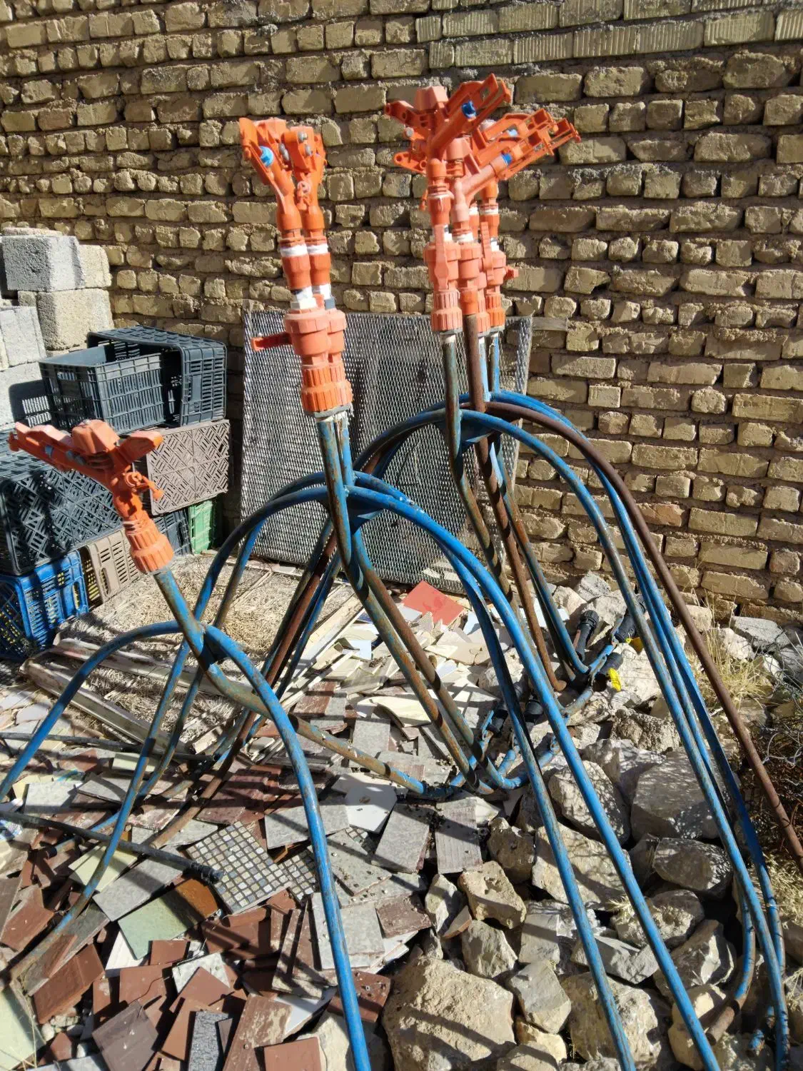 وسایل بارانی|خدمات باغبانی و درختکاری|مرودشت, نقش رستم|دیوار