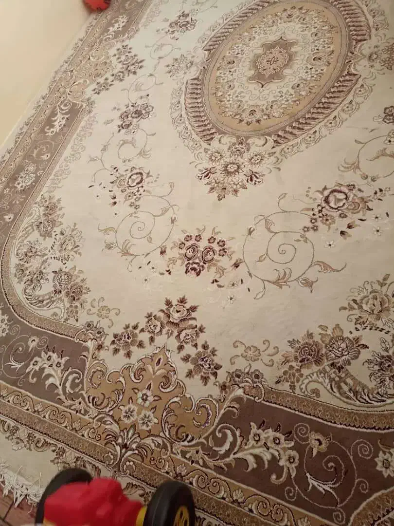 فرش|فرش|قم, شاد قلی|دیوار