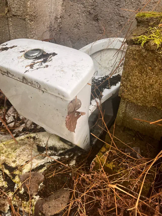 فرنگی و روشویی|لوازم سرویس بهداشتی|صومعه‌سرا, |دیوار