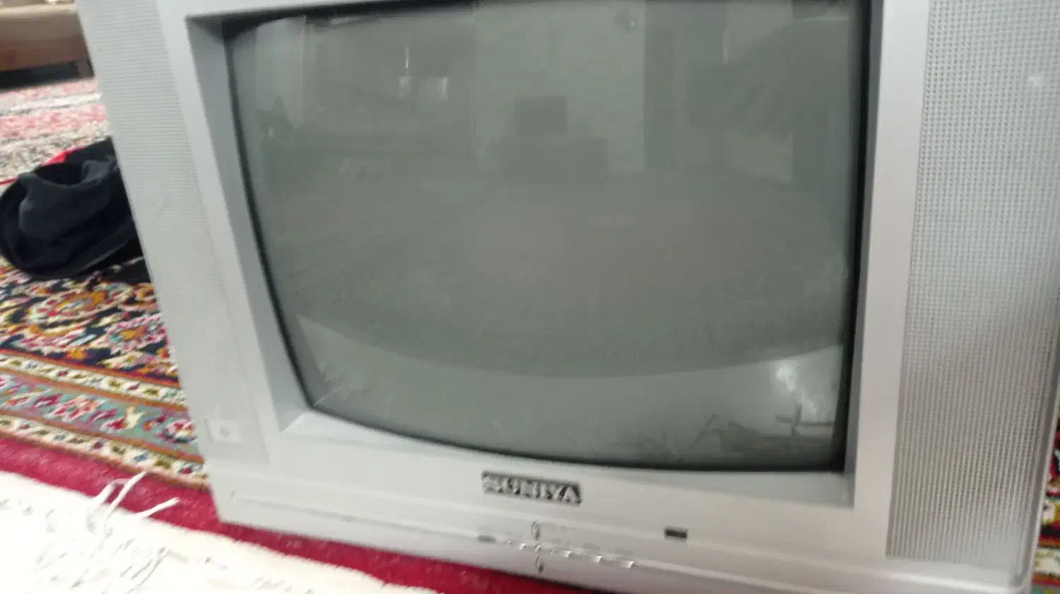 تلویزیون سونیا|تلویزیون و پروژکتور|کاشان, باغچه فیض|دیوار