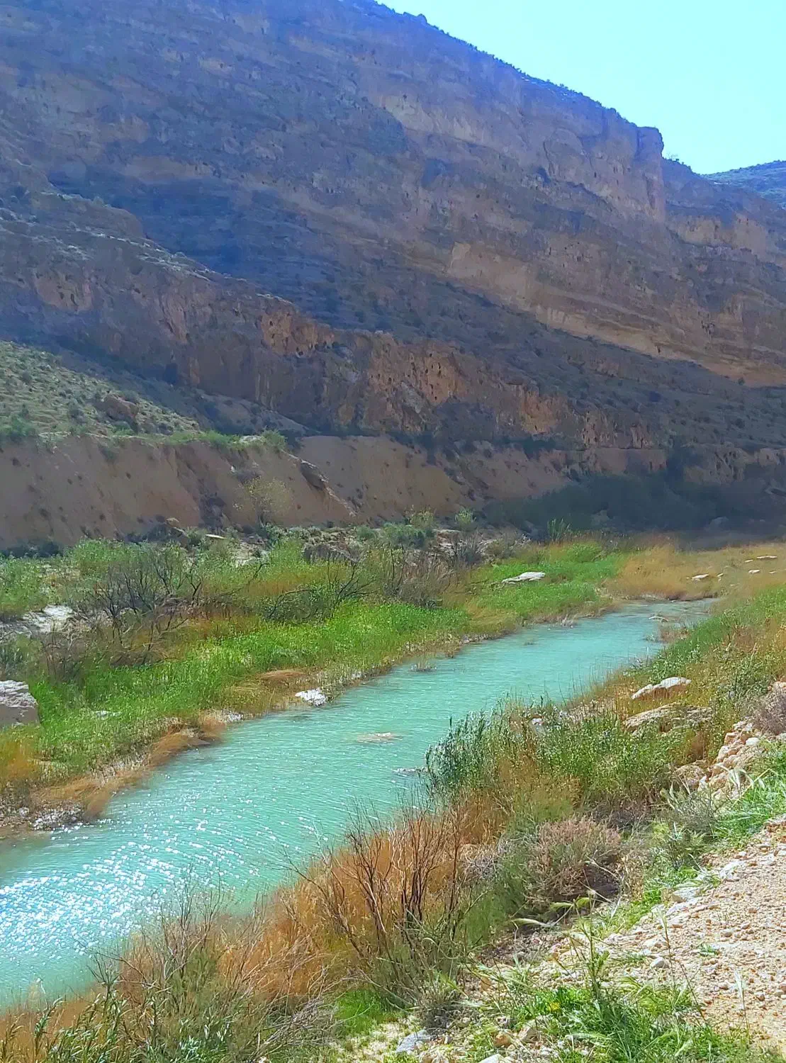 فروش ۱۲ هکتار زمین کشاورزی|فروش دفتر صنعتی، کشاورزی، تجاری|راهگان, |دیوار