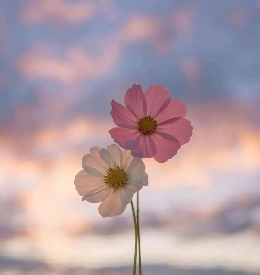 مانتو و لباس های شیک فقط ۲۰۰|لباس|چابهار, |دیوار