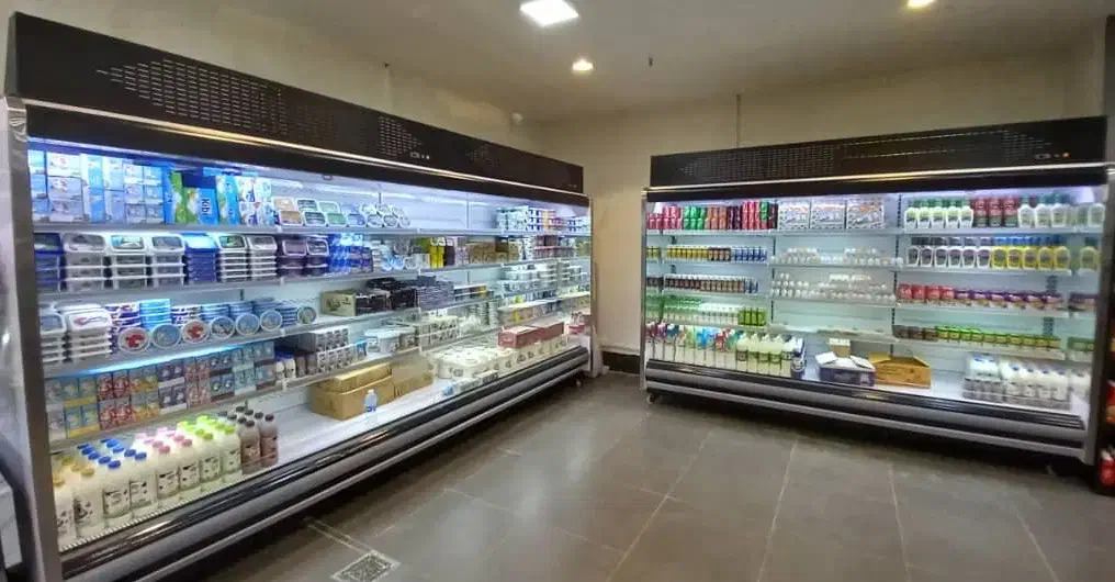 دز قفسه Lui یخچال پرده هوا فروشگاهی giop|فروشگاه و مغازه|دزفول, |دیوار