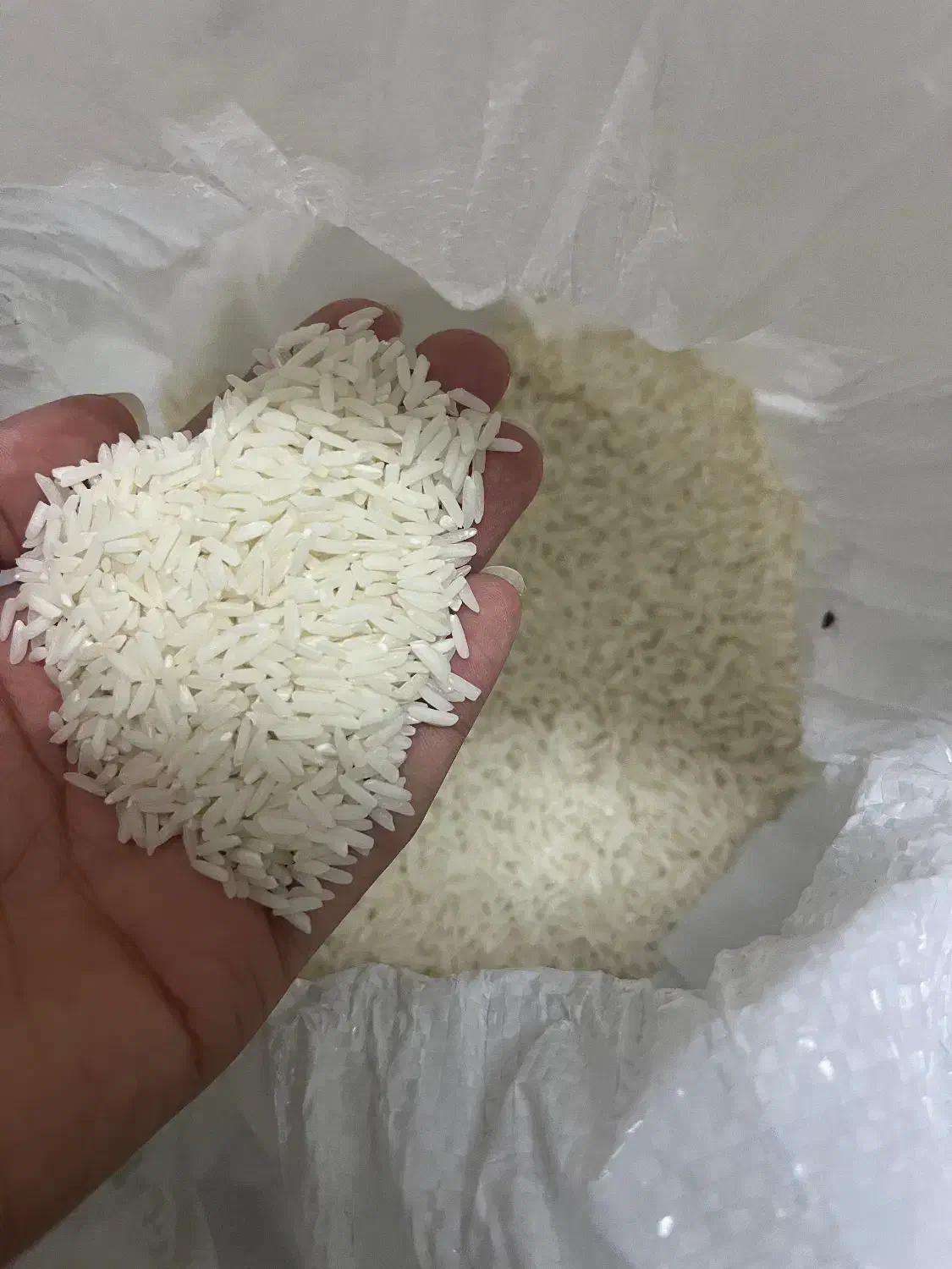 برنج طارم اصل شمال|خوردنی و آشامیدنی|تهران, نظامی گنجوی (توانیر)|دیوار