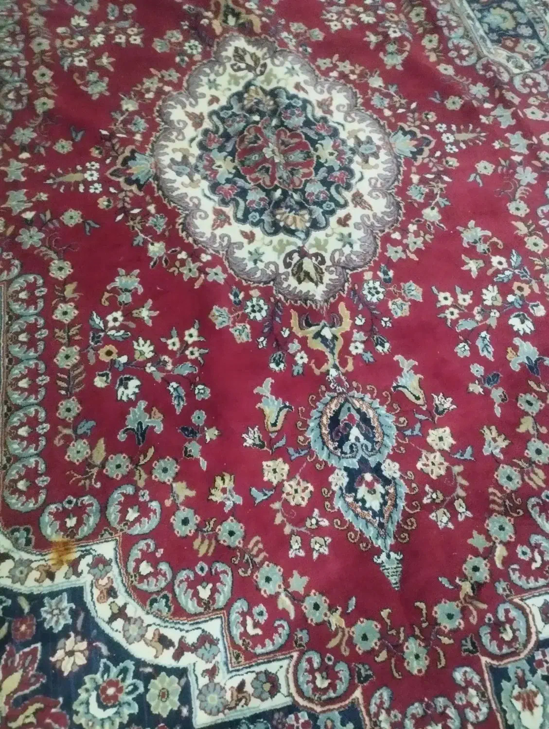 فرش ۱۲ متری|فرش|زاهدان, |دیوار