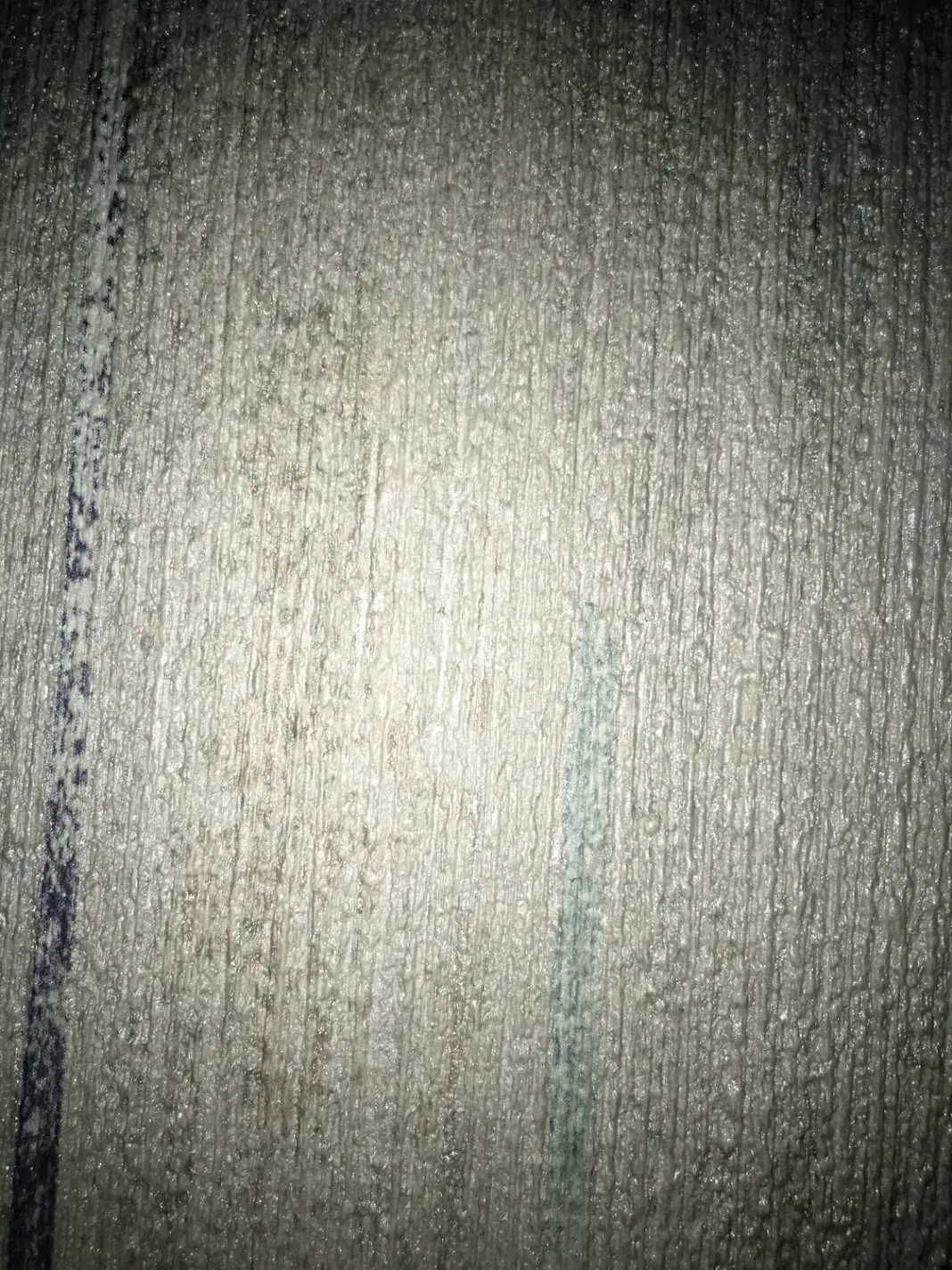 دنبال کار آبرومندانه هستم|فعالیت داوطلبانه|خوی, |دیوار