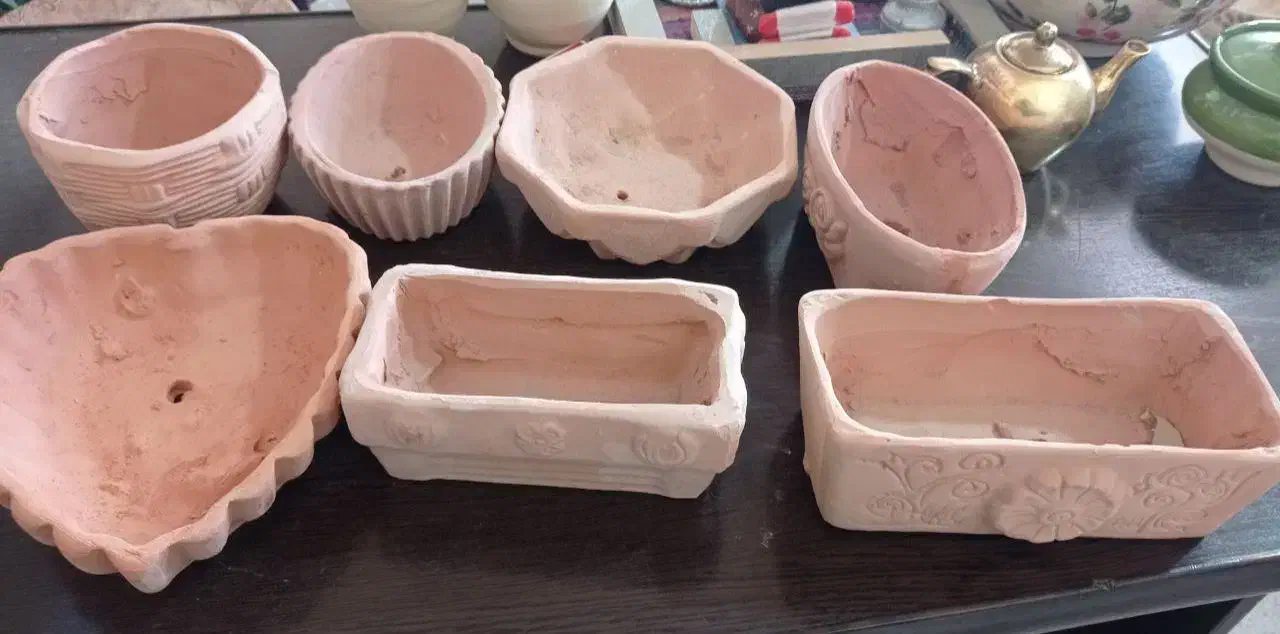 جا سبزه|گل و گیاه طبیعی|مشهد, سراب|دیوار