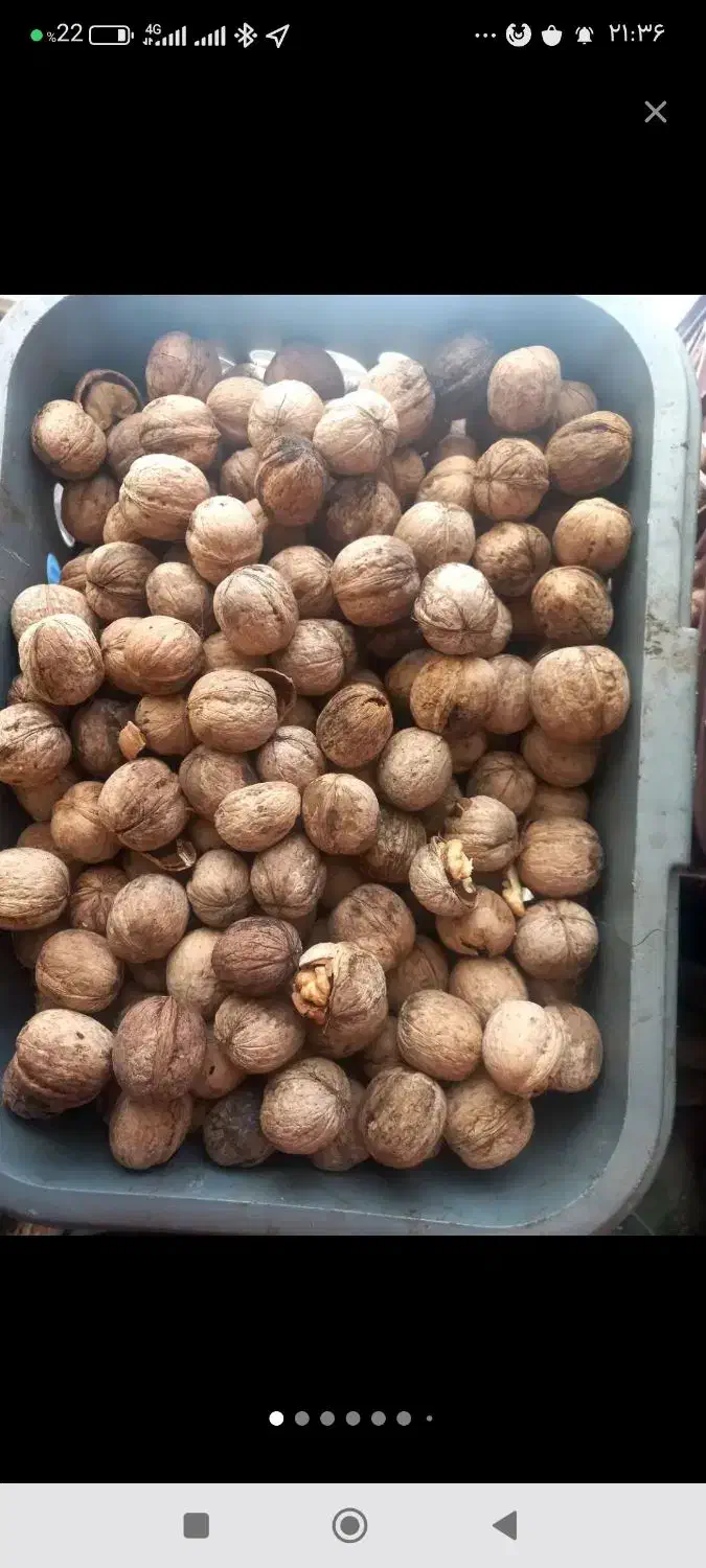 خشک و تازه|خوردنی و آشامیدنی|عجب شیر, |دیوار