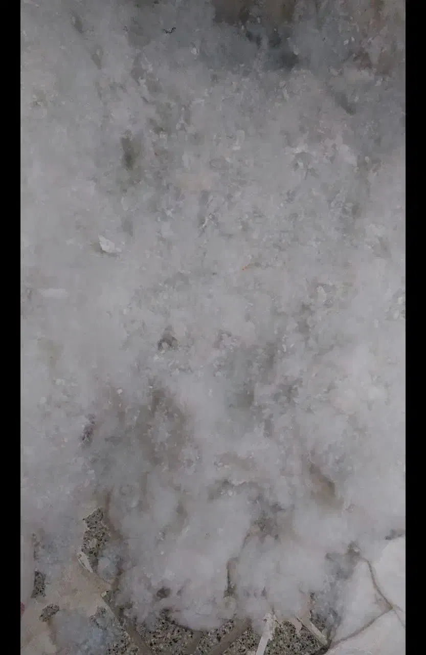 پنبه زنی در مهرشهر|تشک تختخواب|بیرجند, |دیوار