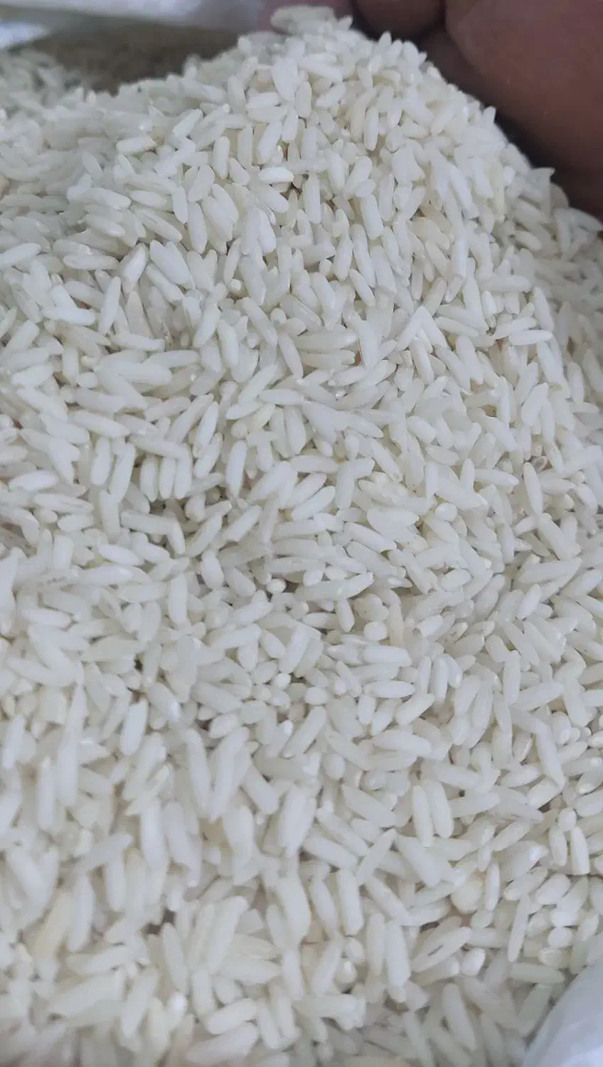 برنج عنبربو مارک اعلاء اعلاء|خوردنی و آشامیدنی|قم, نخودی|دیوار