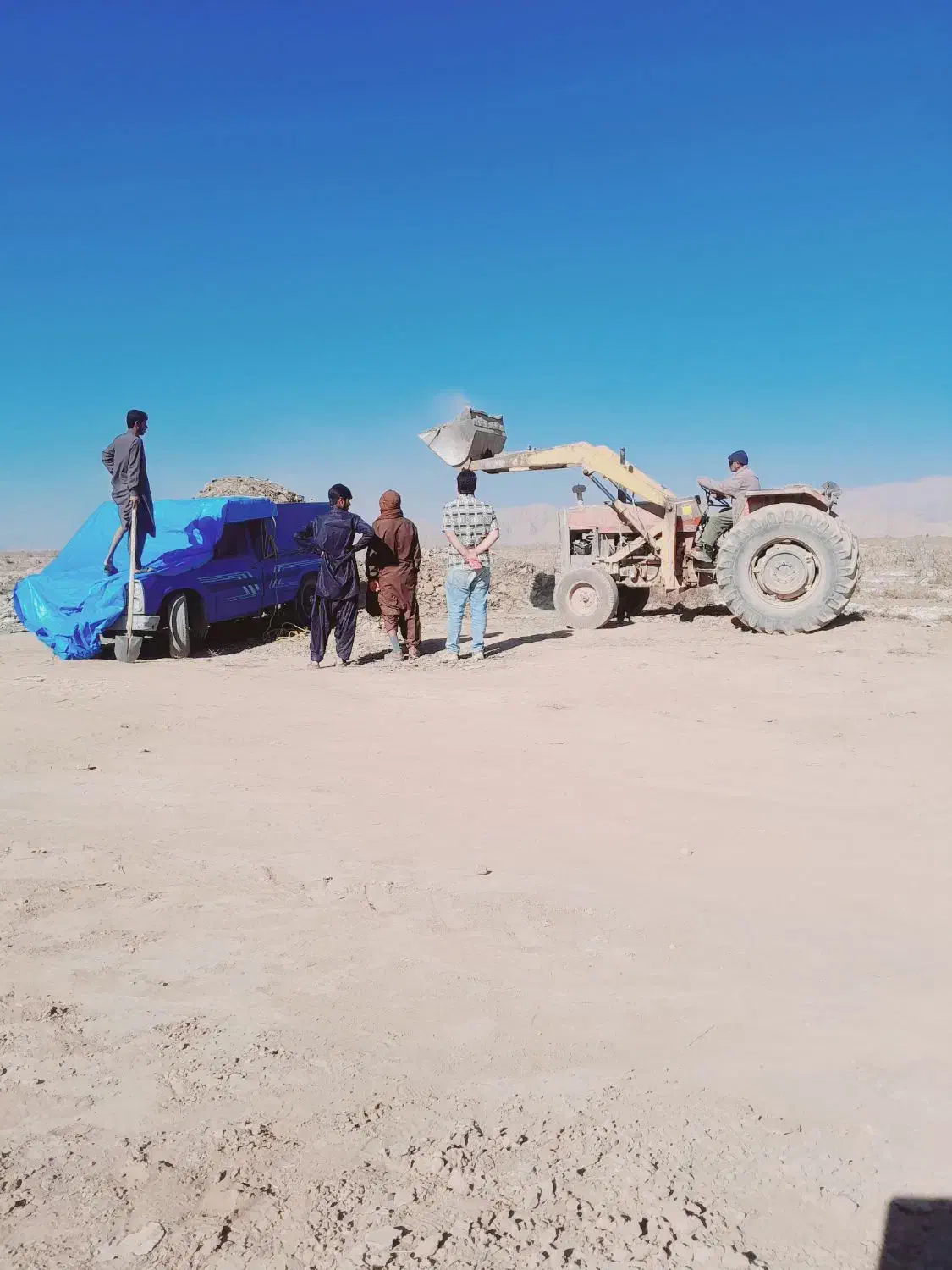 کود|خدمات باغبانی و درختکاری|کرمان, |دیوار